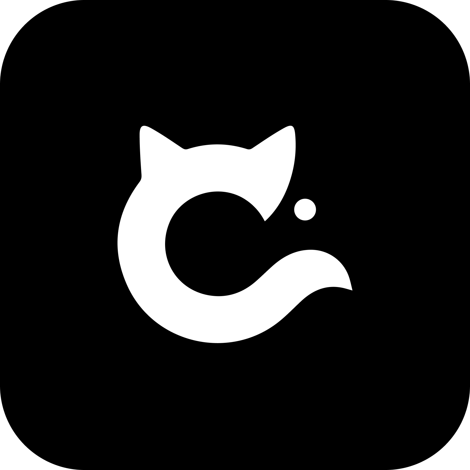 capzy